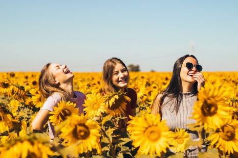 Young women in sunflower field